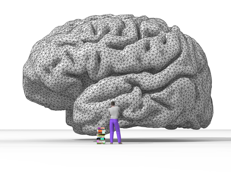 Nicolas_P._Rougier's_rendering_of_the_human_brain